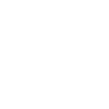 lingerie shape